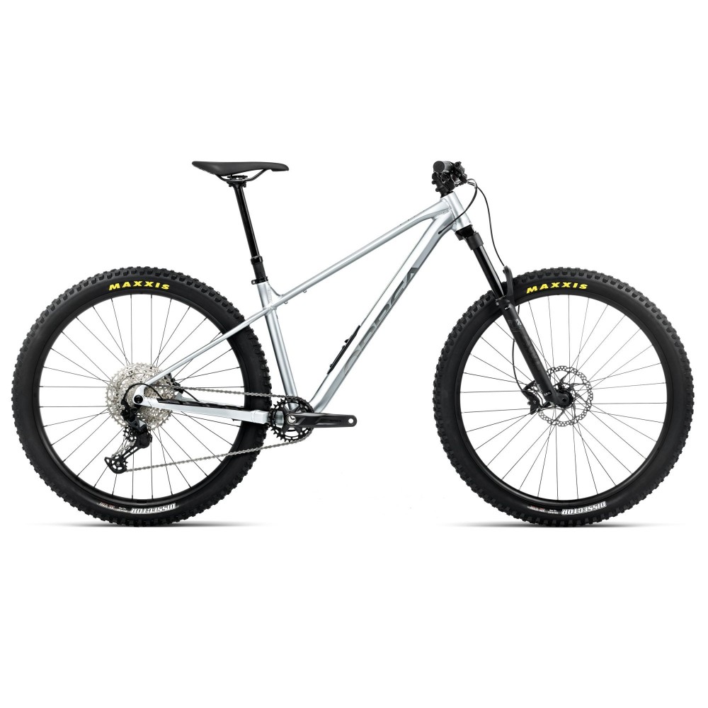 Vélo Orbea LAUFEY H10 Smooth Silver (mat) - Titanium (brillant) 2026